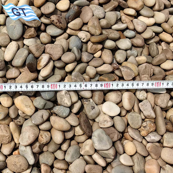 天然小尺寸海球石鹅卵石